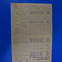 Ведомость оценки знаний и поведения ученика 1-го класса Владимира  Ронгинского. Фонды Музея истории КФУ