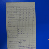 Табель ученика 4 класса Владимира Ронгинского